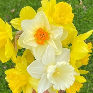 Meet your Posher, Kyleigh